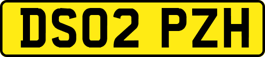 DS02PZH