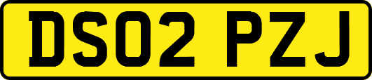 DS02PZJ