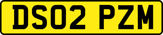 DS02PZM