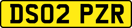 DS02PZR
