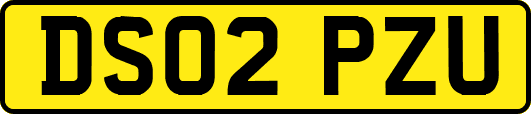 DS02PZU