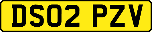 DS02PZV