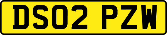 DS02PZW