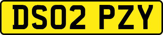 DS02PZY