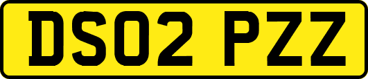DS02PZZ