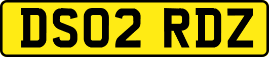 DS02RDZ