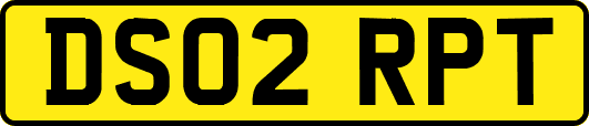DS02RPT