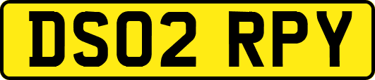 DS02RPY
