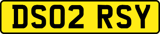 DS02RSY