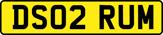 DS02RUM