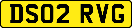 DS02RVG