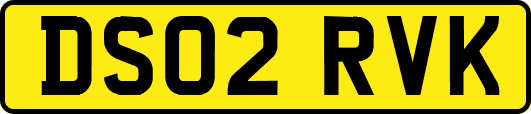 DS02RVK