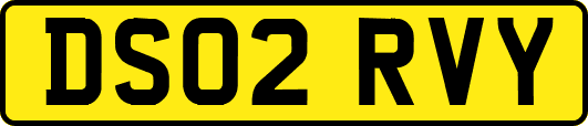 DS02RVY