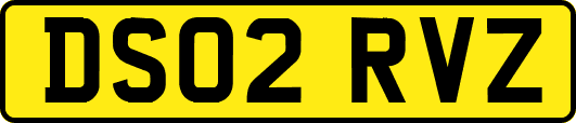 DS02RVZ