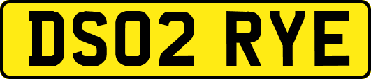 DS02RYE
