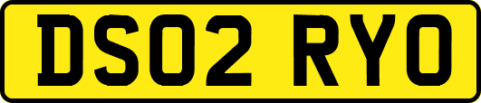 DS02RYO