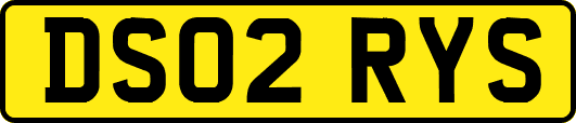 DS02RYS