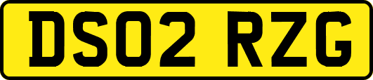 DS02RZG