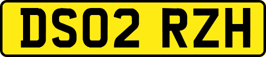 DS02RZH