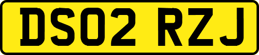 DS02RZJ
