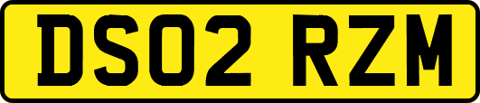 DS02RZM