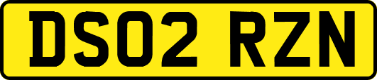 DS02RZN