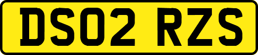 DS02RZS