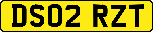 DS02RZT