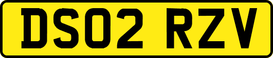 DS02RZV