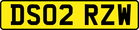 DS02RZW