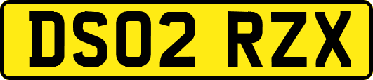 DS02RZX