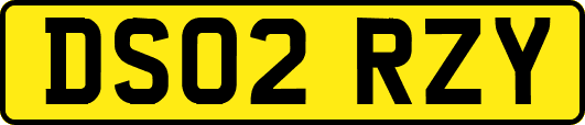 DS02RZY