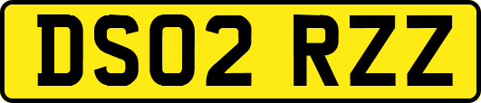 DS02RZZ