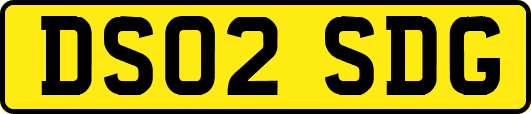 DS02SDG