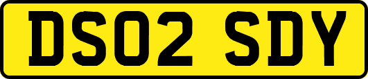 DS02SDY
