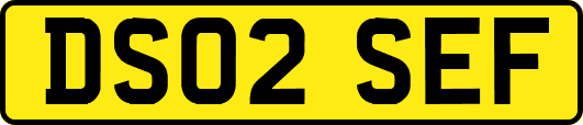 DS02SEF