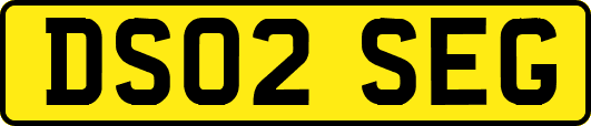 DS02SEG