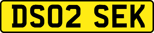 DS02SEK
