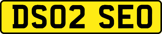 DS02SEO