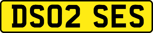 DS02SES