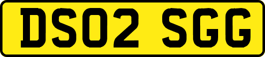DS02SGG
