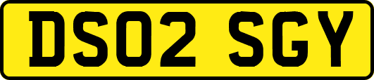 DS02SGY