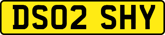 DS02SHY