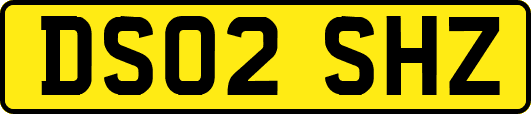 DS02SHZ