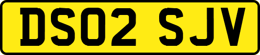 DS02SJV