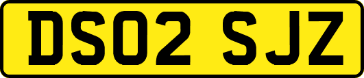 DS02SJZ