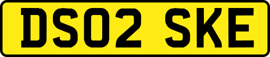 DS02SKE