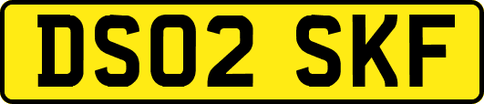 DS02SKF