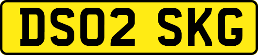 DS02SKG