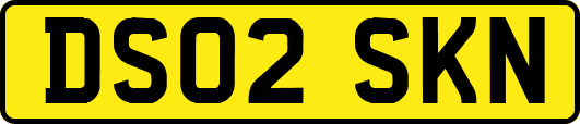 DS02SKN